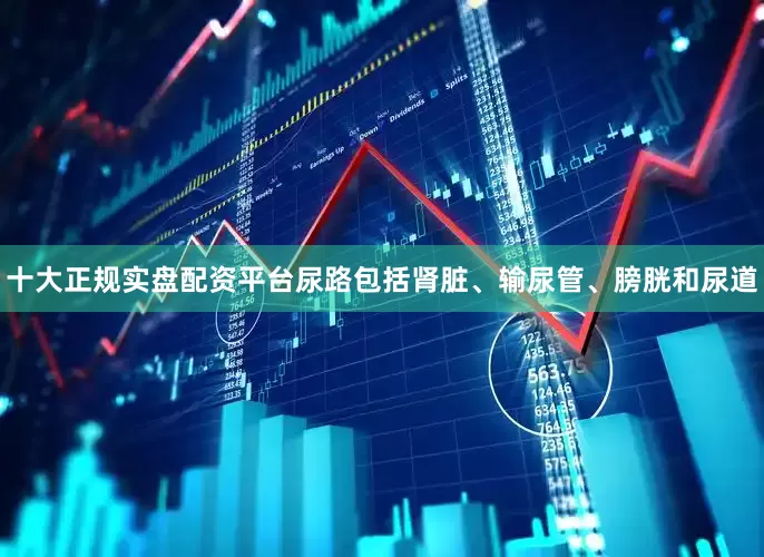 十大正规实盘配资平台尿路包括肾脏、输尿管、膀胱和尿道