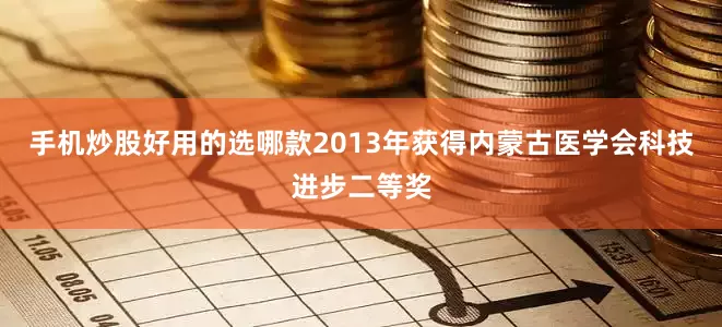 手机炒股好用的选哪款2013年获得内蒙古医学会科技进步二等奖