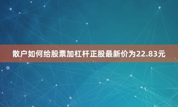 散户如何给股票加杠杆正股最新价为22.83元